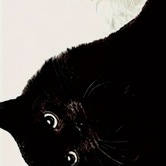 New black/white kitty tee w/ long sleeves and crew neck.  Size large - Picture 3 of 3